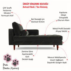 Ürgüp Rahat Dinlenme Koltuğu Terapi ve Josephine Koltuk Pati Dostu Kumaş Sol Köşe