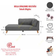 Bella Dinlenme Koltuğu Terapi ve Josephine Koltuk Pati Dostu Kumaş Sağ Köşe