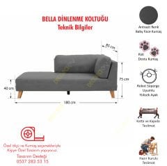 Bella Dinlenme Koltuğu Terapi ve Josephine Koltuk Pati Dostu Kumaş Sağ Köşe