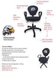 Kara Kartal Baskılı Çocuk Çalışma Koltuğu | Beşiktaş Taraftar Sandalyesi